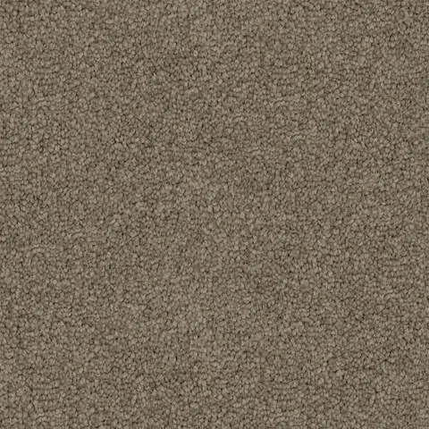 Spanish Place carpet swatch